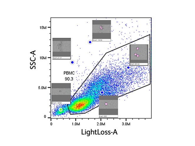 Image-Based-Doublet-Discrimination-Plot