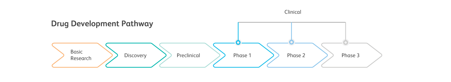 Drug Development Pathway