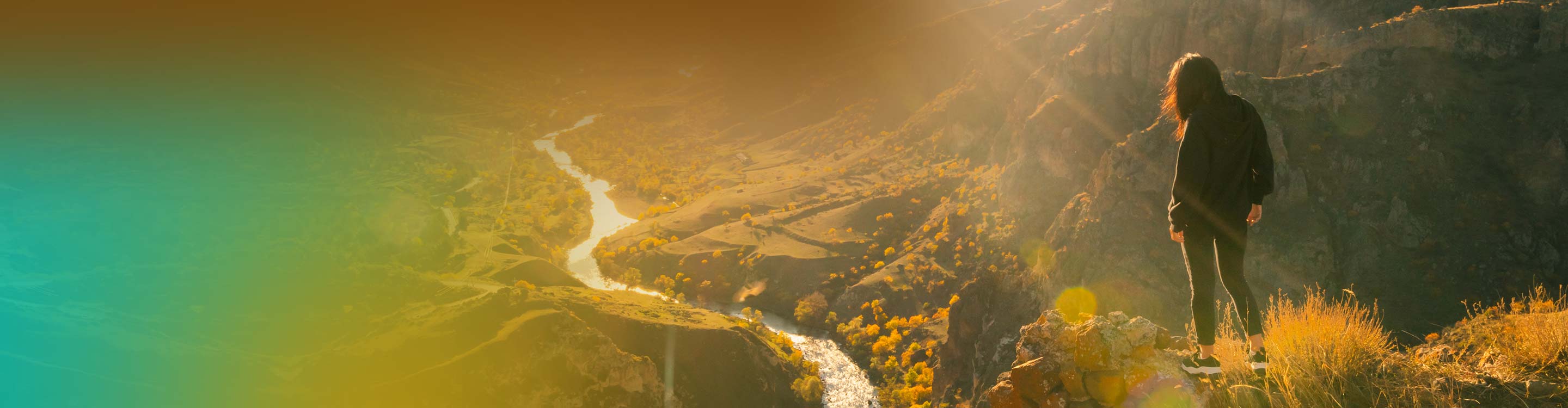 In Vitro Diagnostic Medical Device Regulation