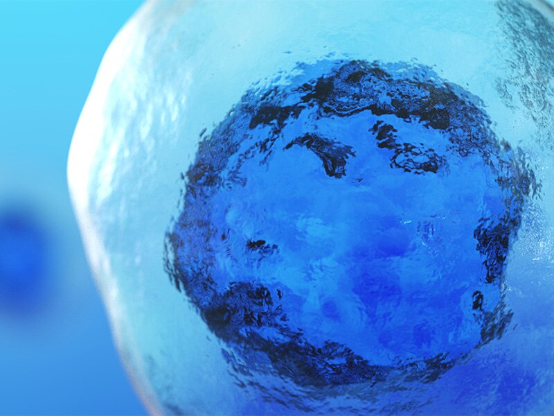 Transplantation and Transfusion