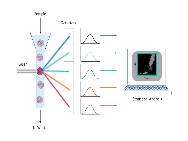 A person using their computer to review information about the role of optical filters.