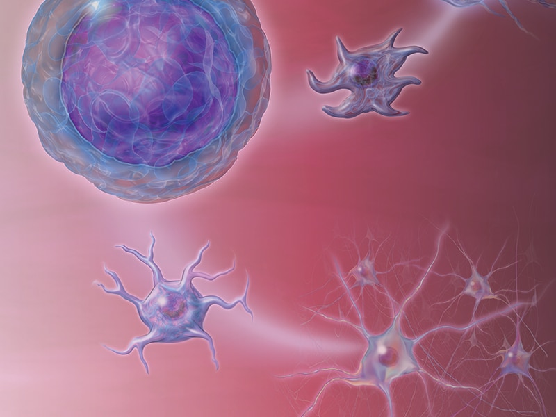 Immuno-Oncology Discovery Reimagined