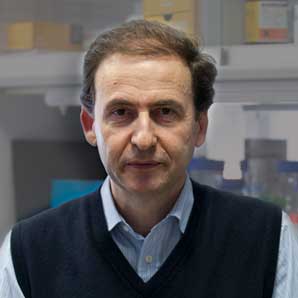 Prof. Alberto Orfao, M.D., Ph.D