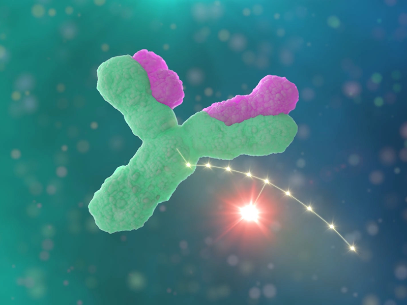 BD’s History & Leadership