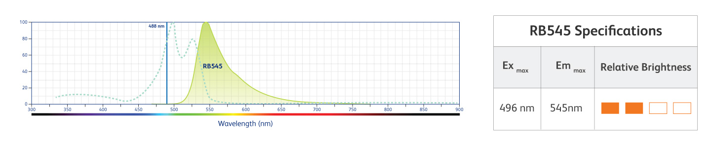 RB545 specifications