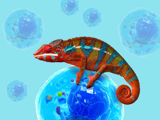 Panel Design Resources