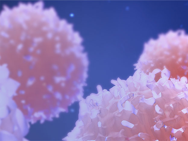 End of Year Promotion Image