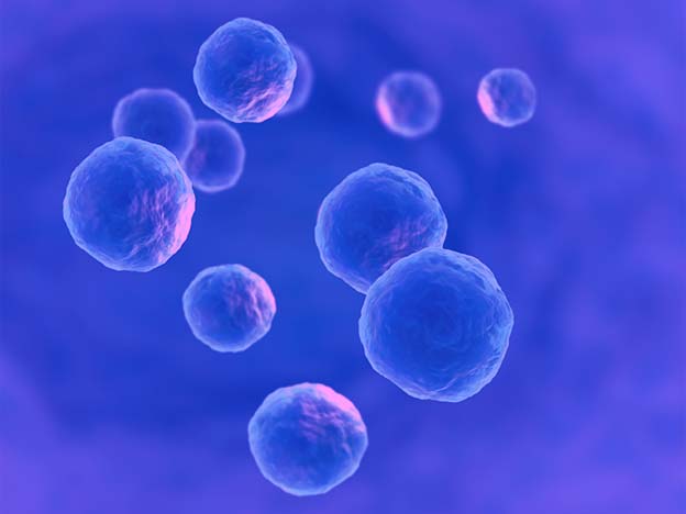 Back to Lab Promotion Image