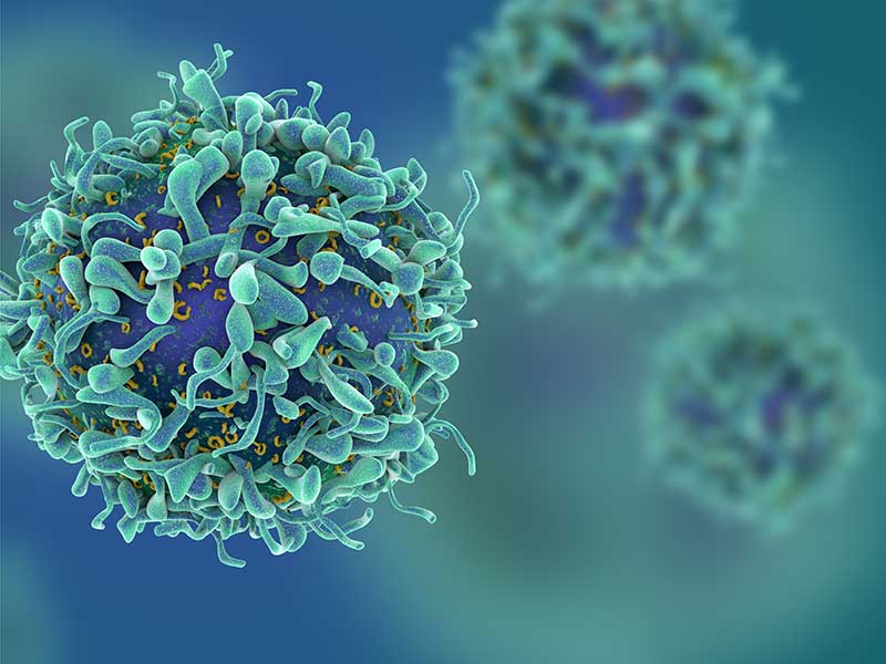 Unlock Savings: Use Code OMG35 for 35% off BD® OMICS-Guard Sample Preservation Buffer!