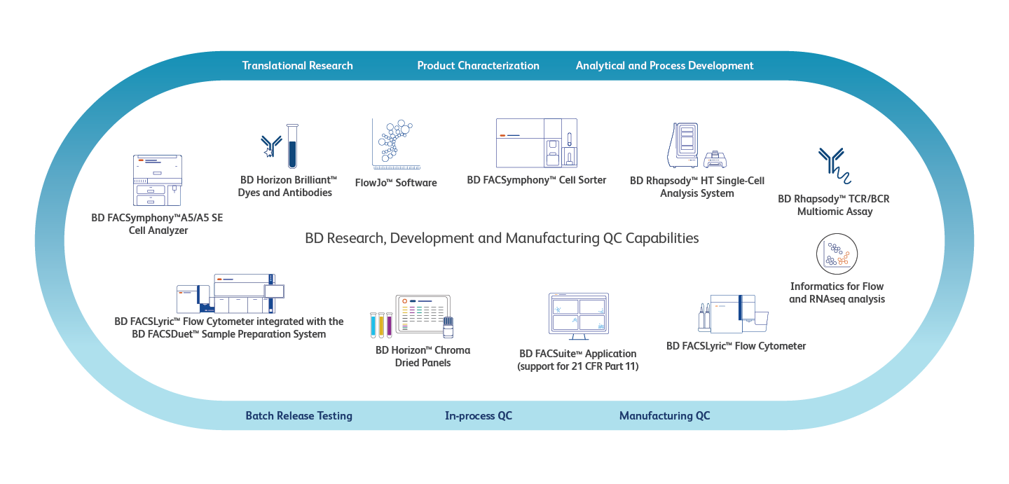 Cell Therapy Development Journey